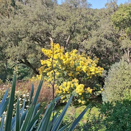 Βίλα Les 3 Sources D'aiguebonne, Vue Et Esterel, Plages A Pied Saint-Raphaël