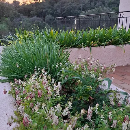 Les 3 Sources D'aiguebonne, Vue Et Esterel, Plages A Pied Villa *